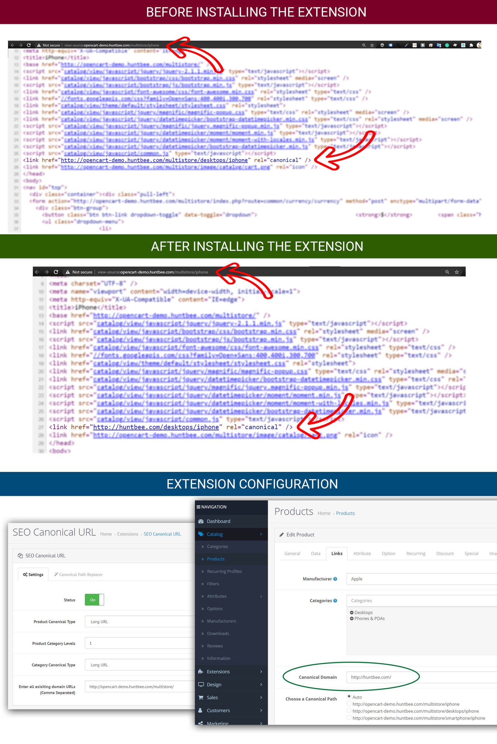 Canonical Domain Selector