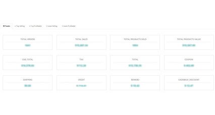 Showing image for OpenCart Extension - Sales Performance Report Image for Sales Performance Report