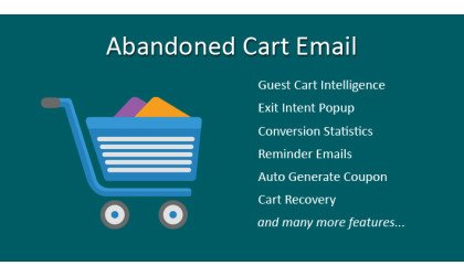 Abandoned Cart Emails - PRO