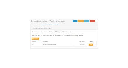 Broken Link Manager /Auto Redirect Manager image