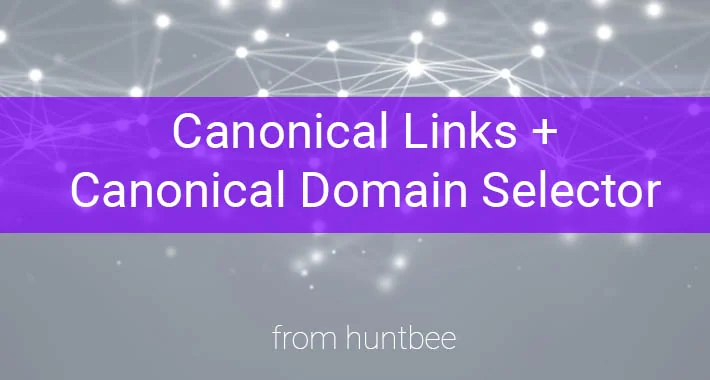 Image pour Lien canonique OpenCart + sélecteur de domaine canonique